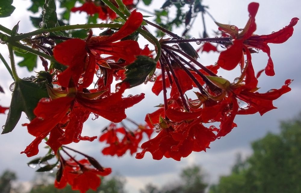 Photograph by IRINA KORNEVA