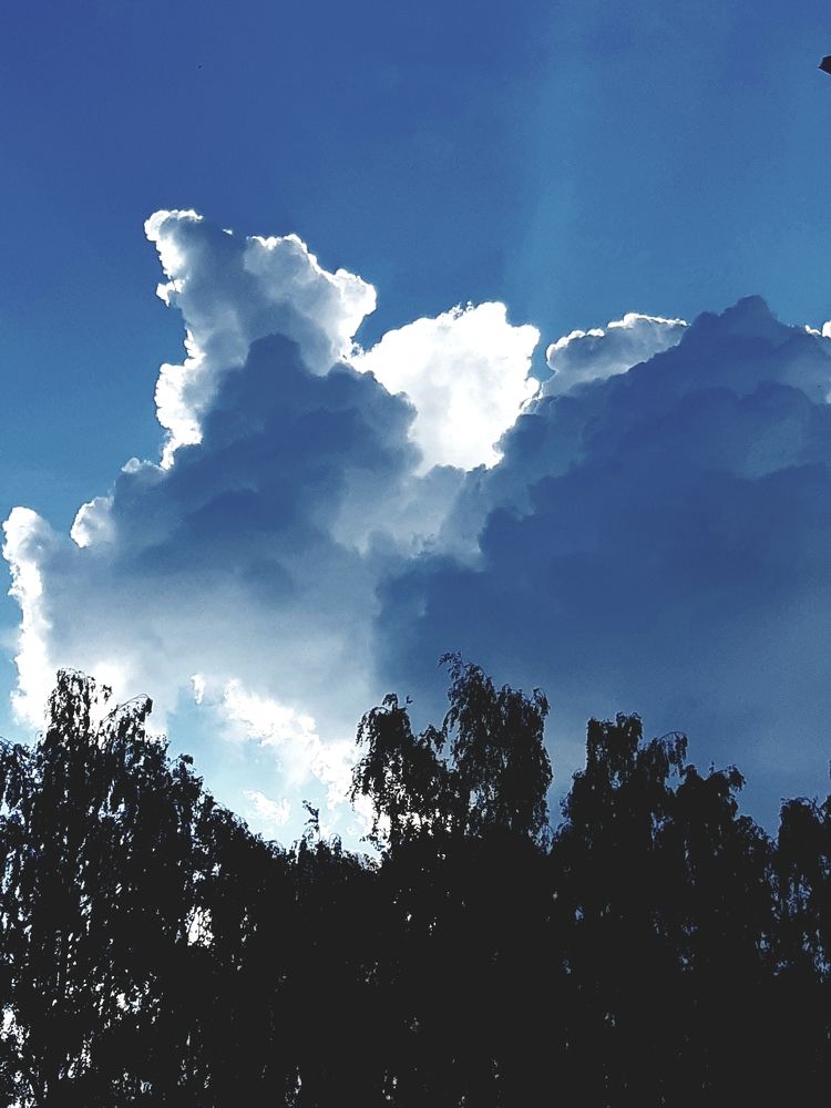 Photograph by Ольга Александрова