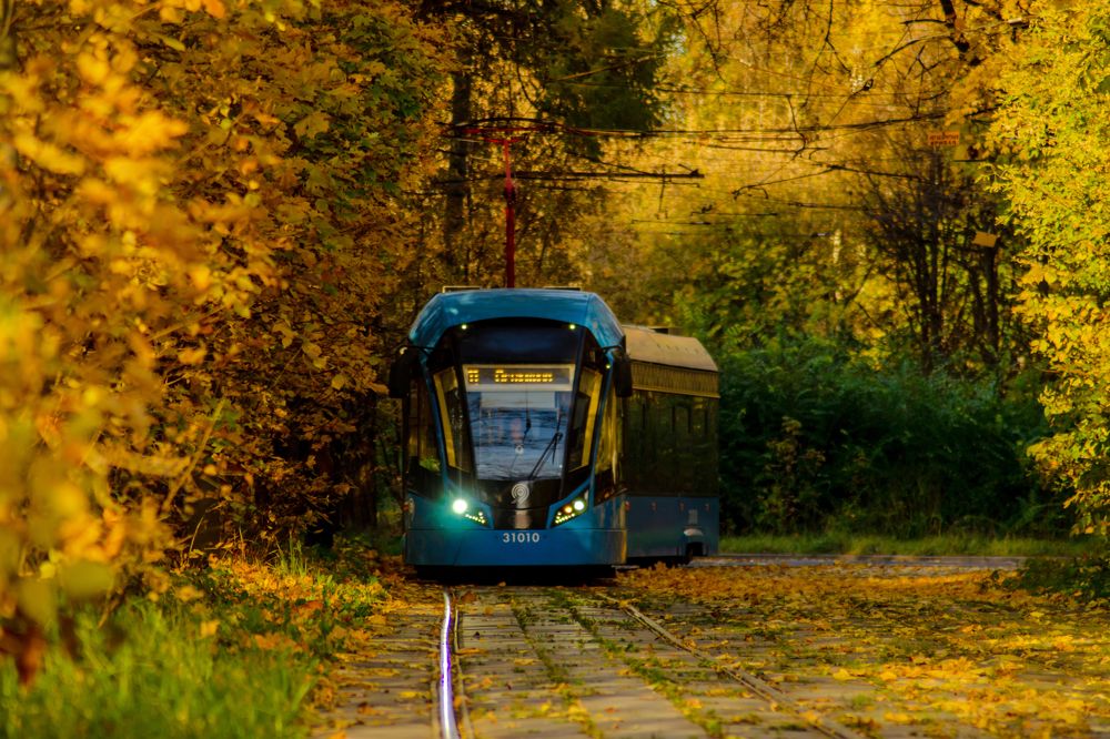 Photograph by Ольга Заповедная