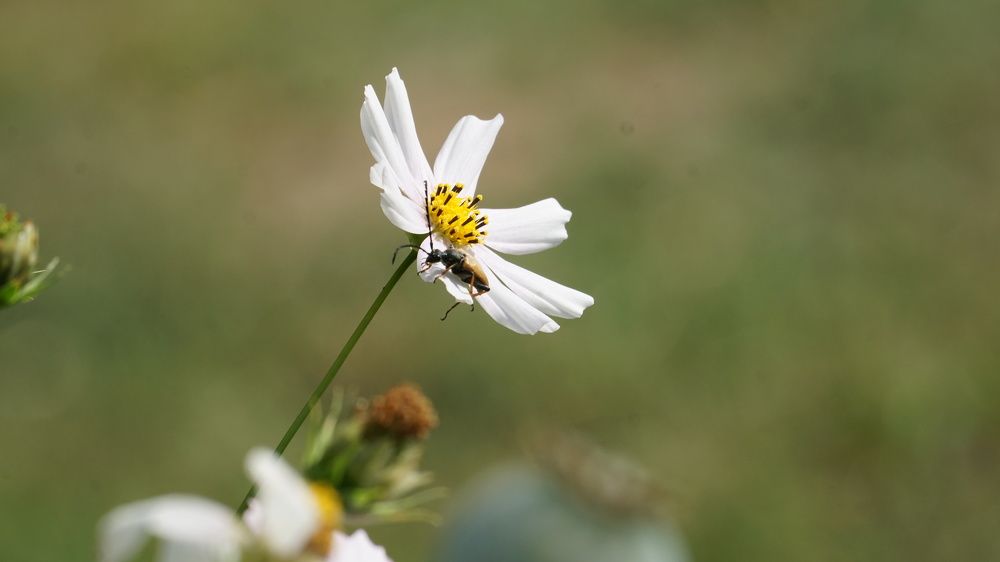 Photograph by Михаил Трусов