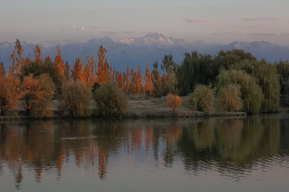 "Осень как арт- терапия"
