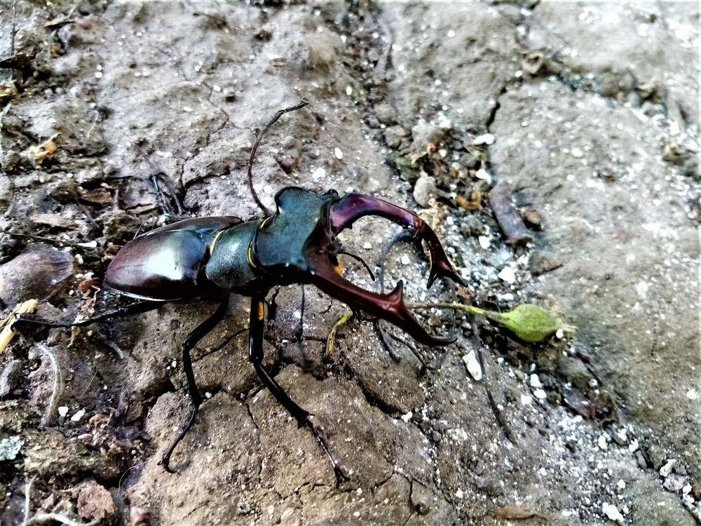 Photograph by Наталья Галай