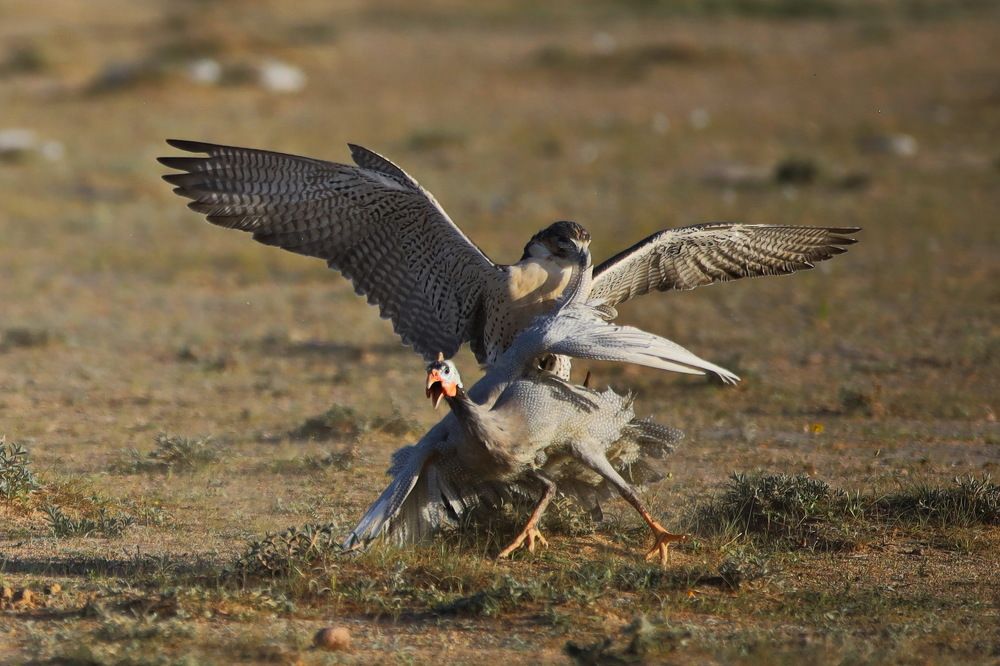 Photograph by Shukurjon Isamukhamedov