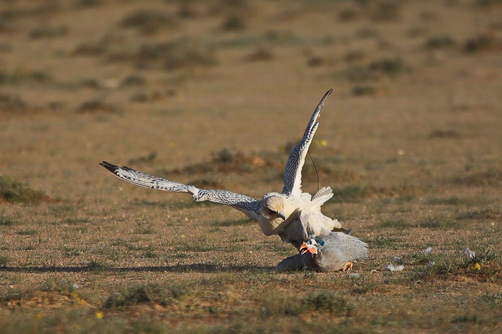 Photograph by Shukurjon Isamukhamedov