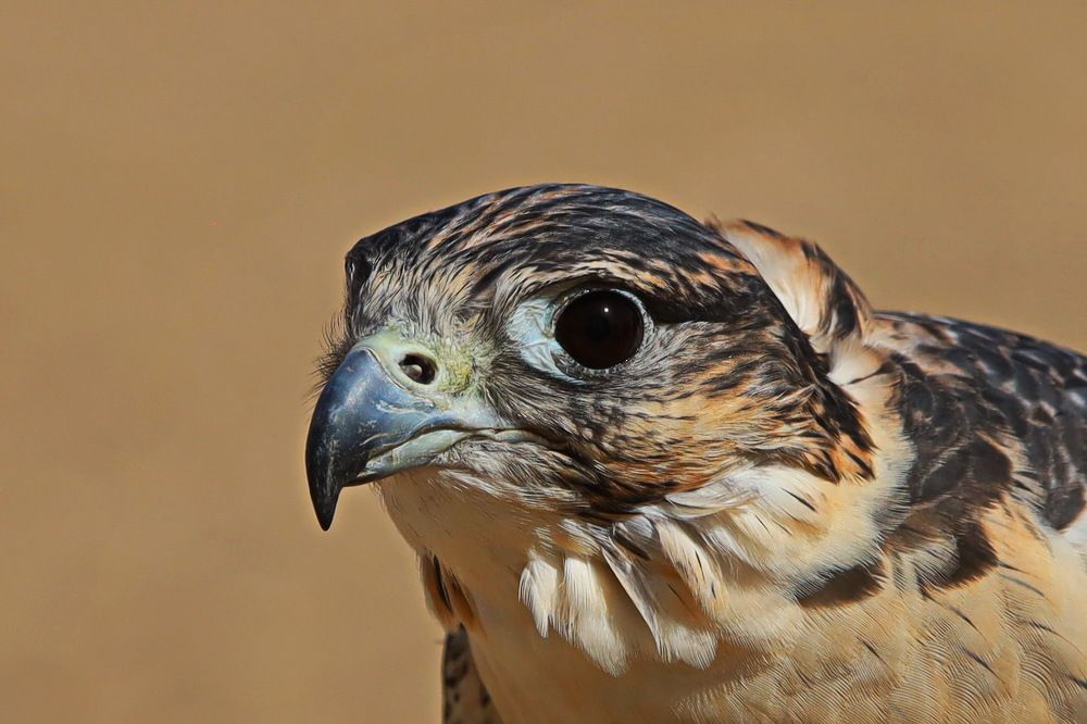 Photograph by Shukurjon Isamukhamedov