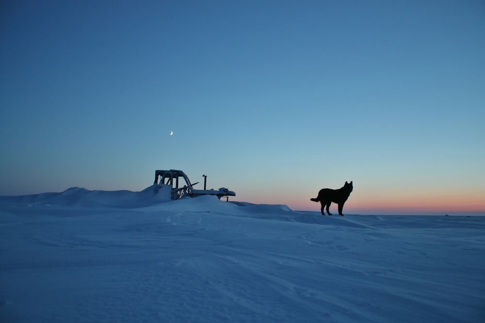 Photograph by Юрий Ковальногов