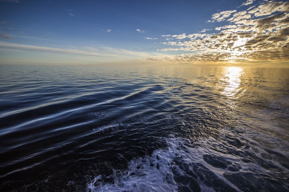 Photograph by Юрий Ковальногов
