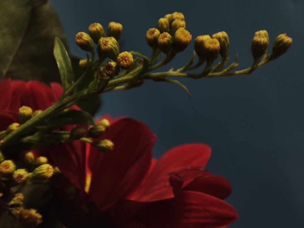 Photograph by Кристина Медведюк