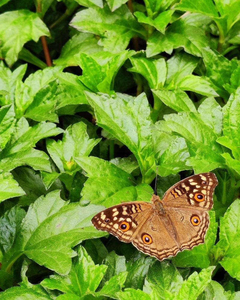 Photograph by Nandhakumar Velumani