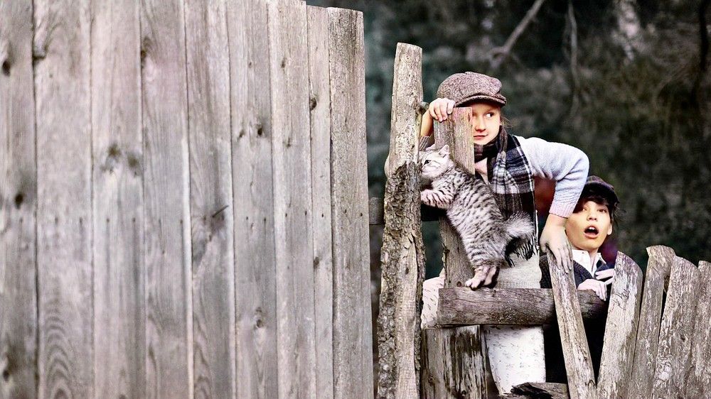 Фотография автора Ольга