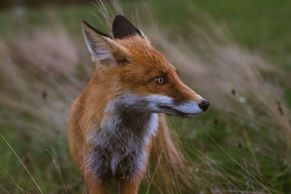 Photograph by Сергей Фадин