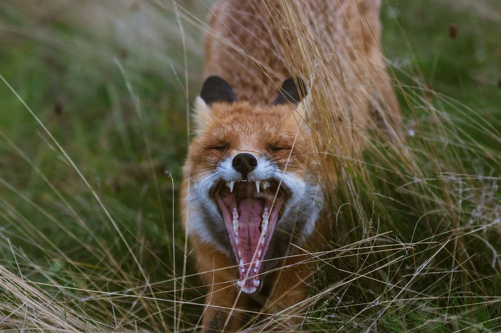 Photograph by Сергей Фадин