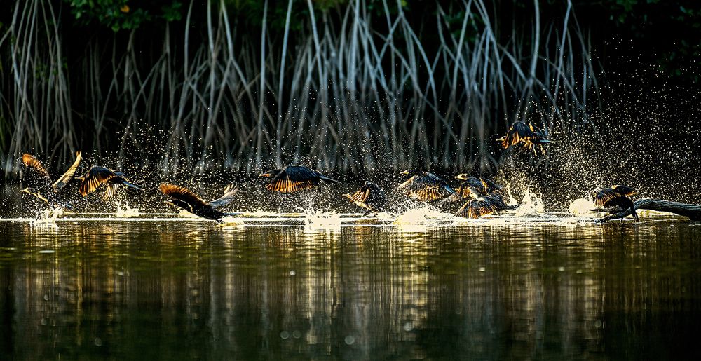 Photograph by Ricardo Ubico