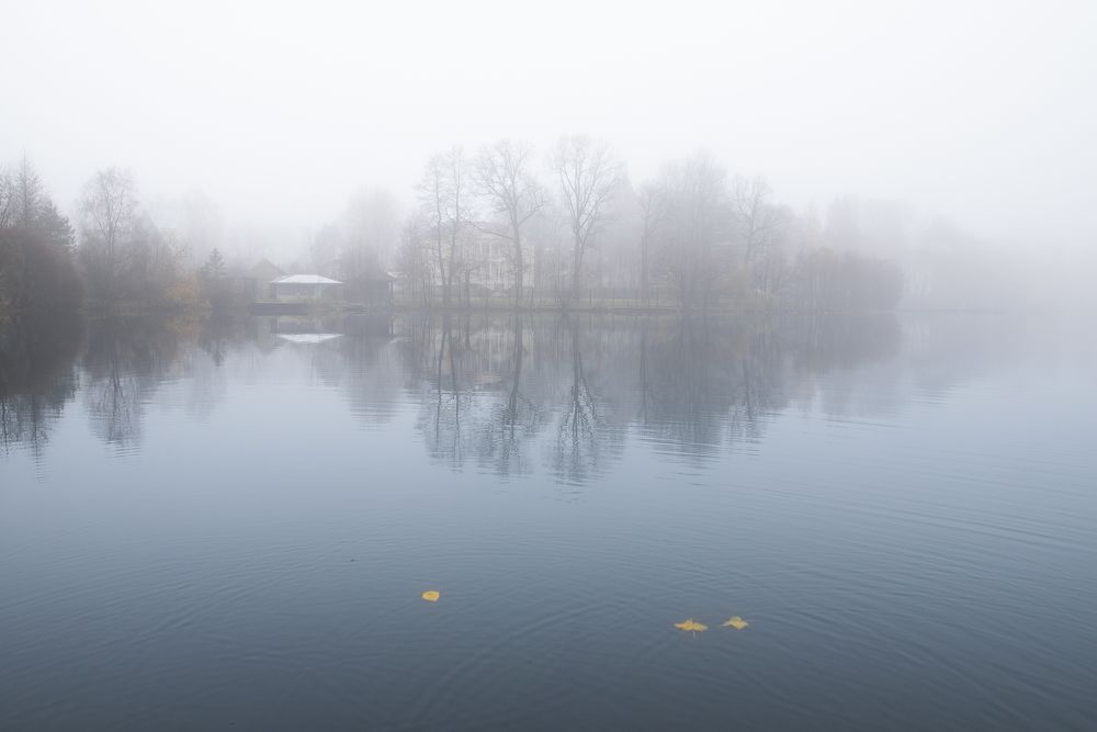 Photograph by Сергеева Марина