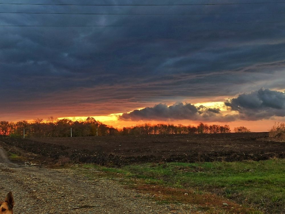 Фотография автора Таня Долгушева
