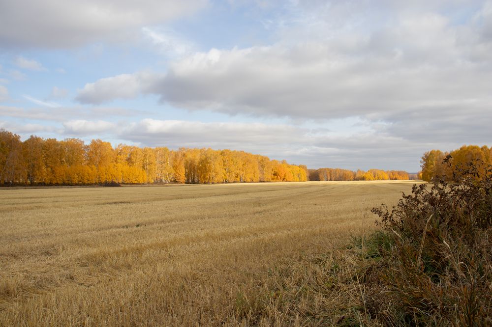 Photograph by Наталья Мотрий