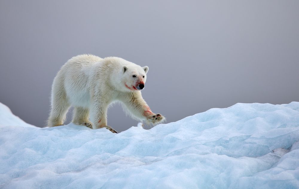 Photograph by Vladimir Melnik