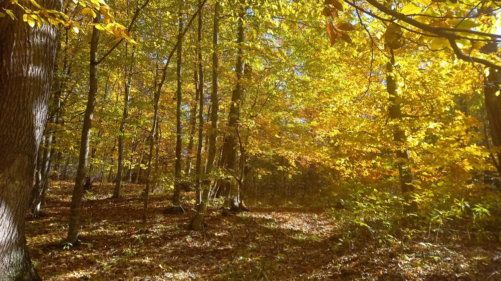 Photograph by Tigran