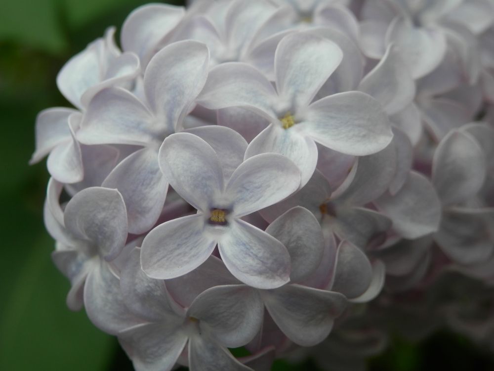 Photograph by Георгий Салюков