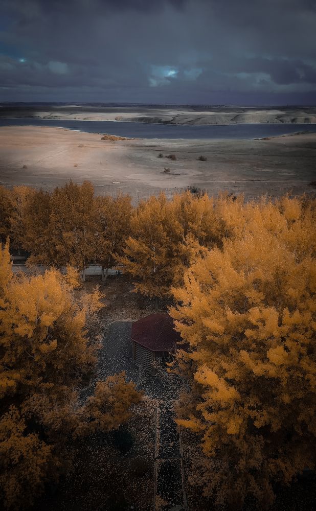 "Осенний флёр"