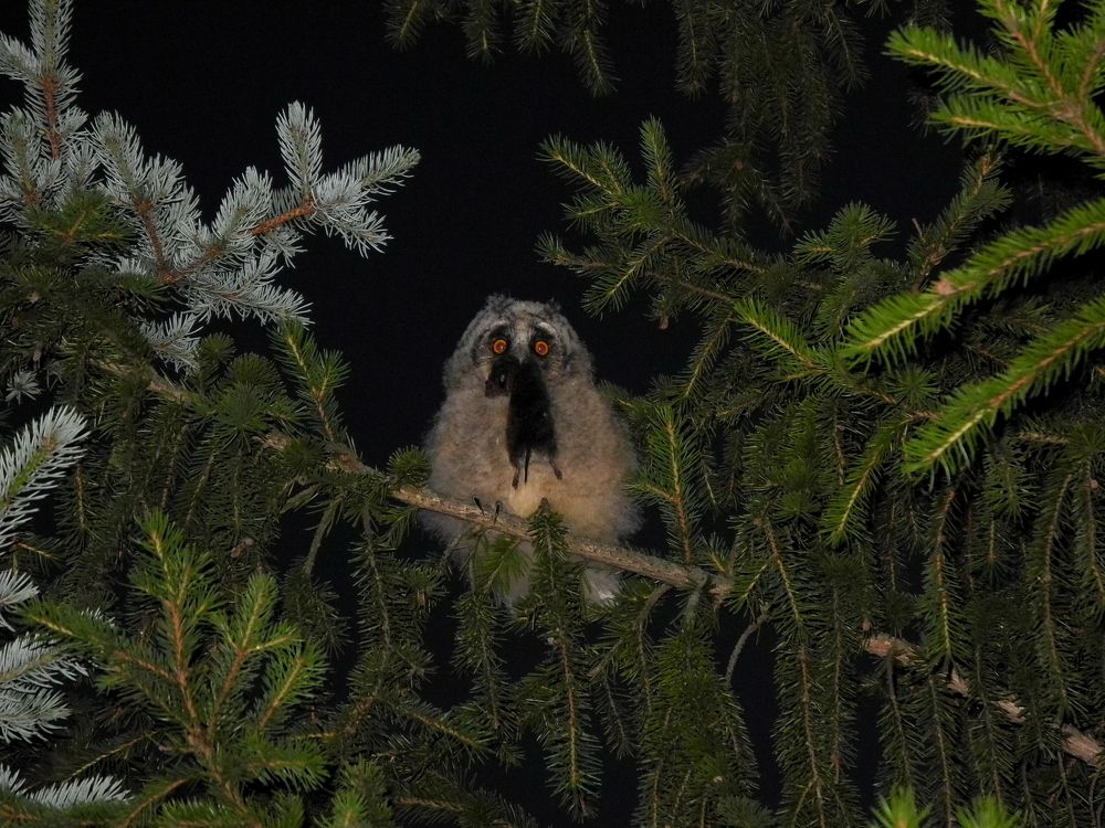 Photograph by Рустэм Жемалетдинов