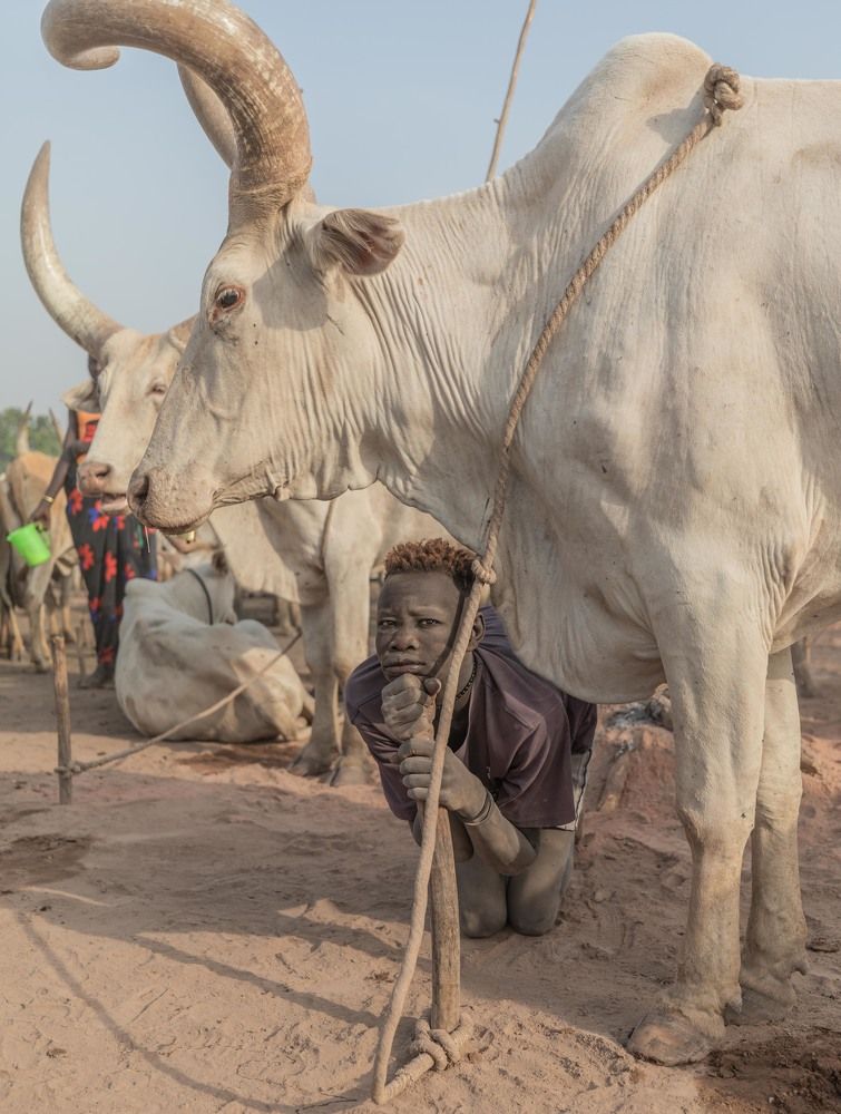 Мыслитель ( The thinker)