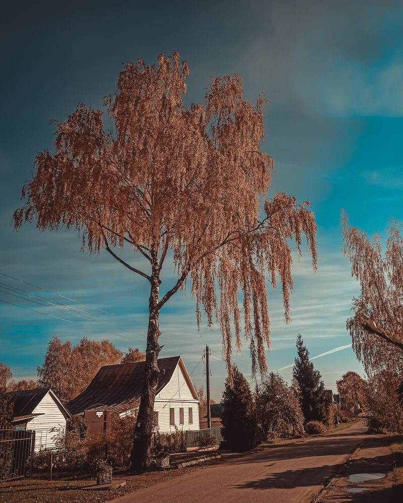 Photograph by Павел Агеев