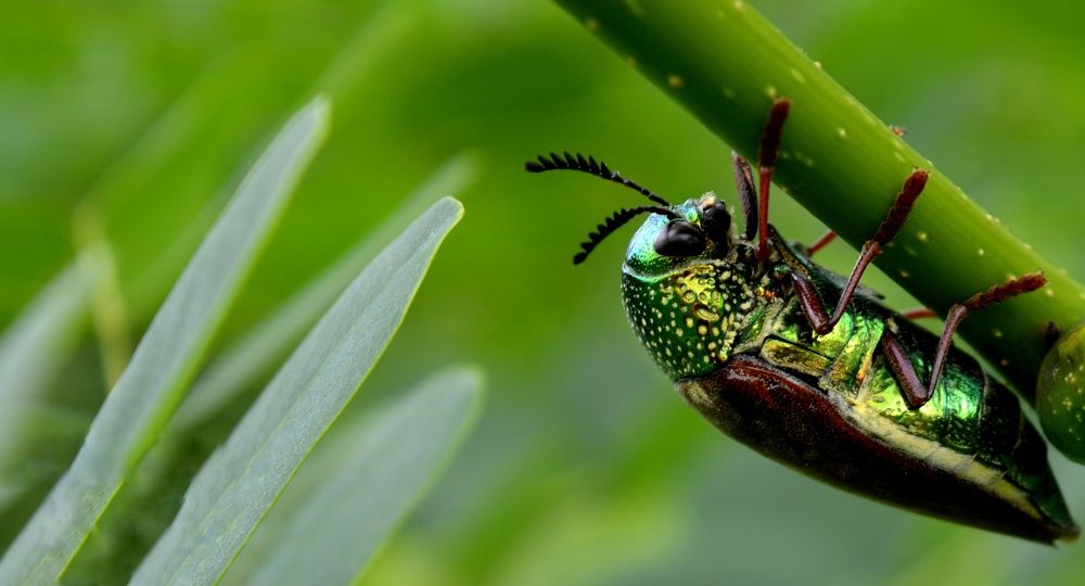 Photograph by Shalabh Srivastava