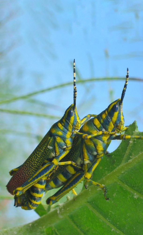 Photograph by Shalabh Srivastava