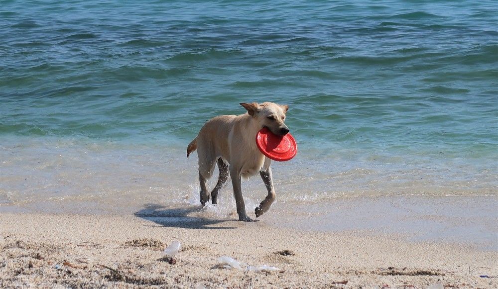 Photograph by Любовь