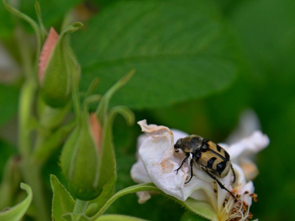 Photograph by Людмила