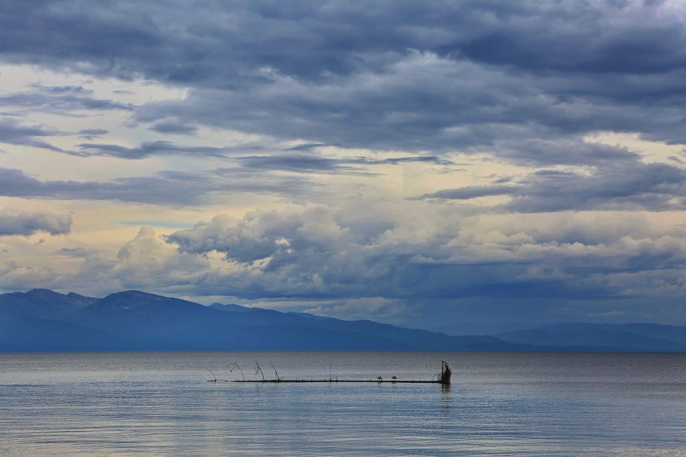 Photograph by Ирина Сушко