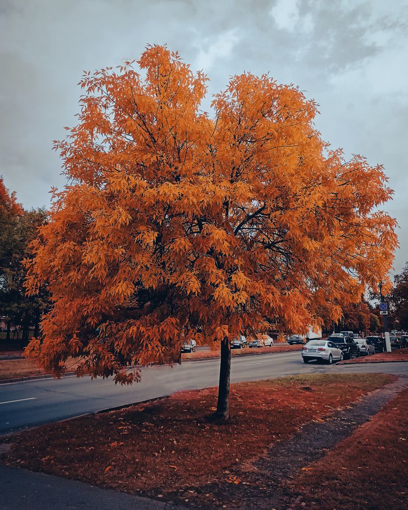 Photograph by Павел Агеев