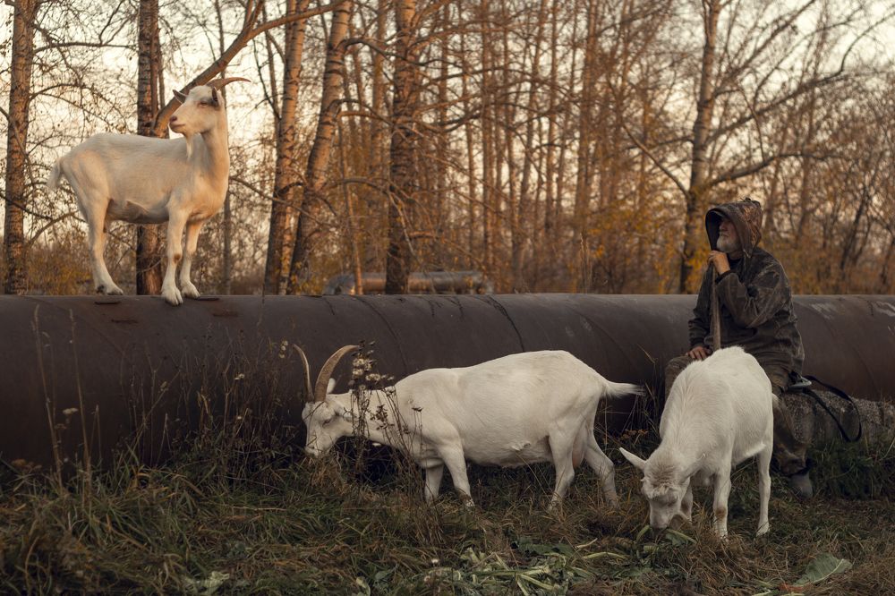 Случайная встреча.