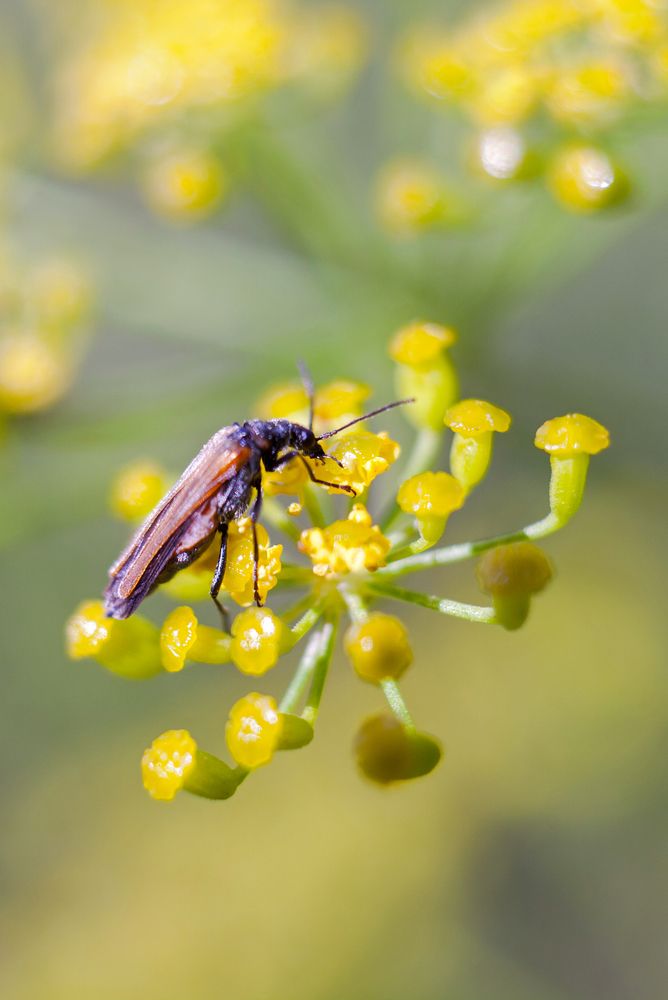 Photograph by Юлия Шаля