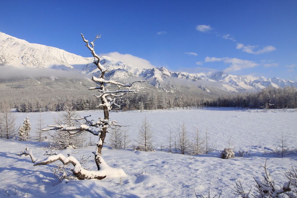 Photograph by Ирина Сушко