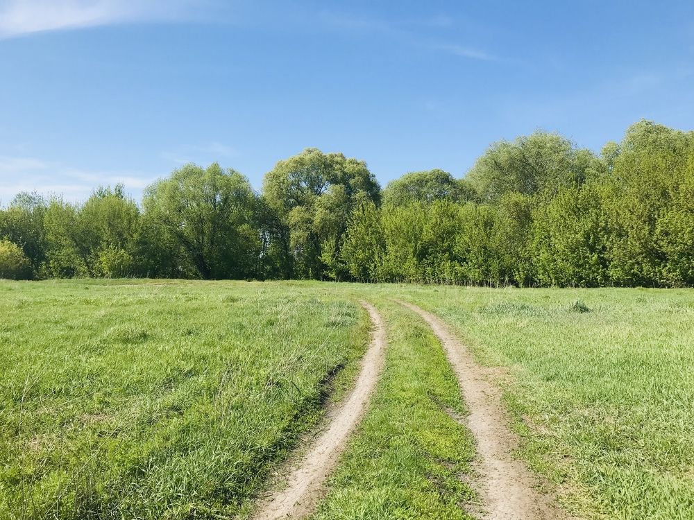 Photograph by Ольга