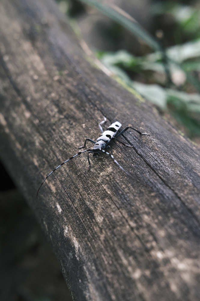 Photograph by Вячеслав Лужецкий