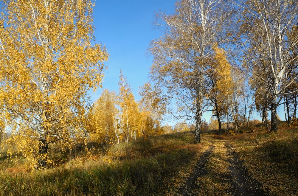 Photograph by Рустэм Жемалетдинов