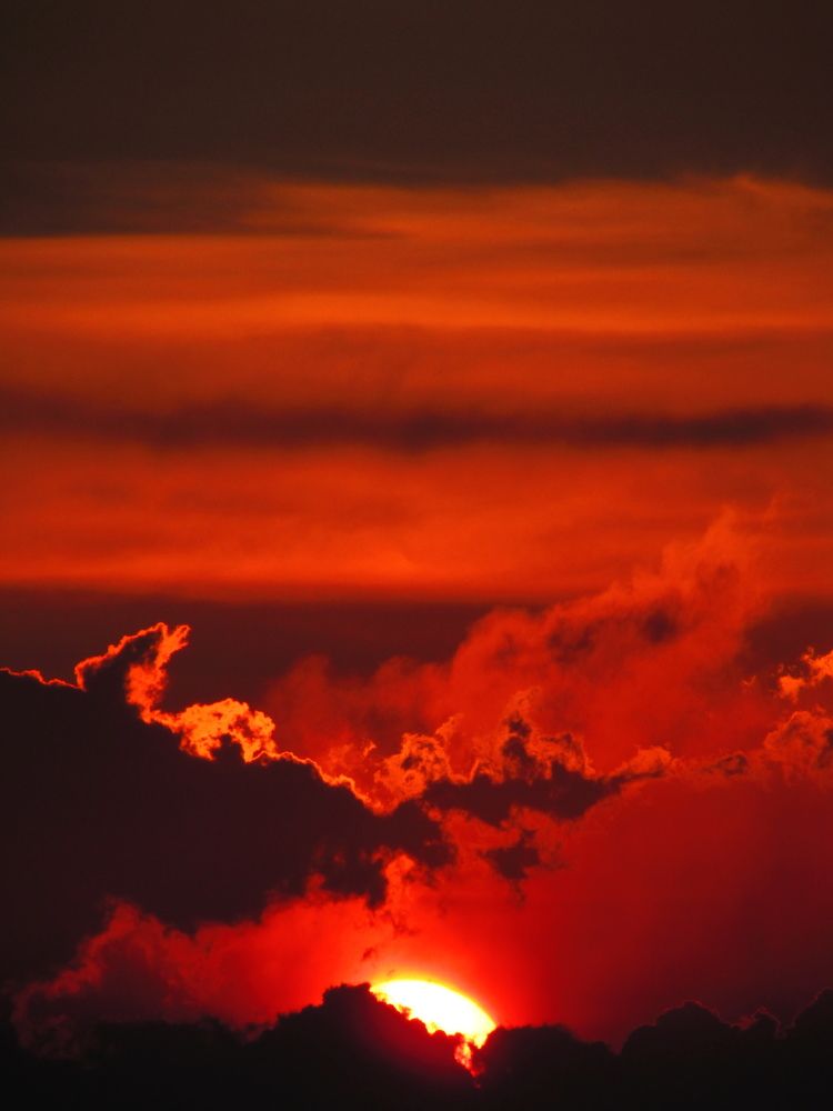 Photograph by Илья Шевченко