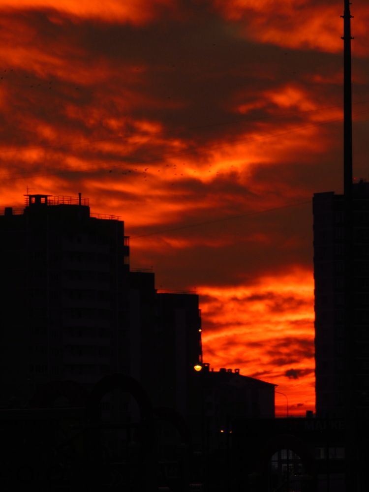 Photograph by Илья Шевченко