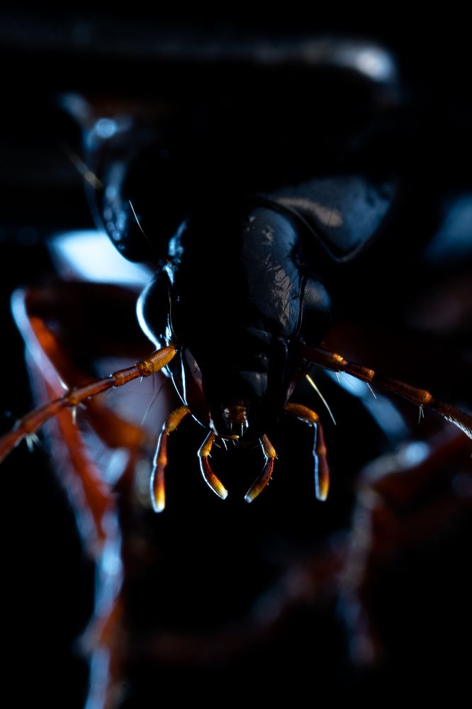 Photograph by Александр Поданев