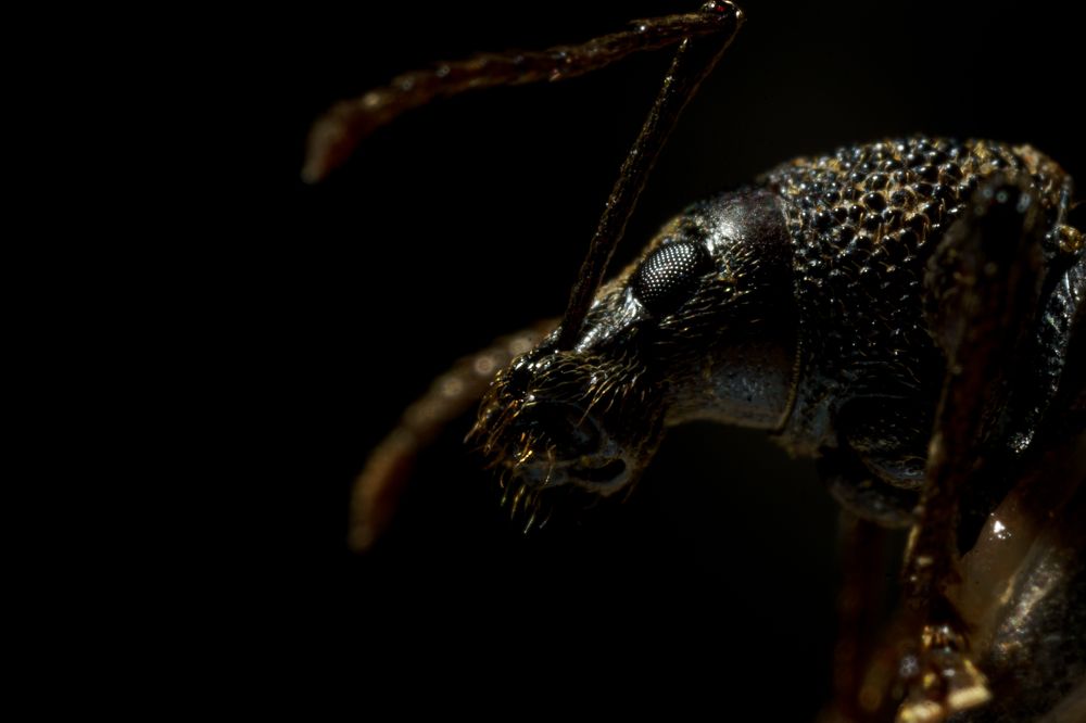 Photograph by Александр Поданев