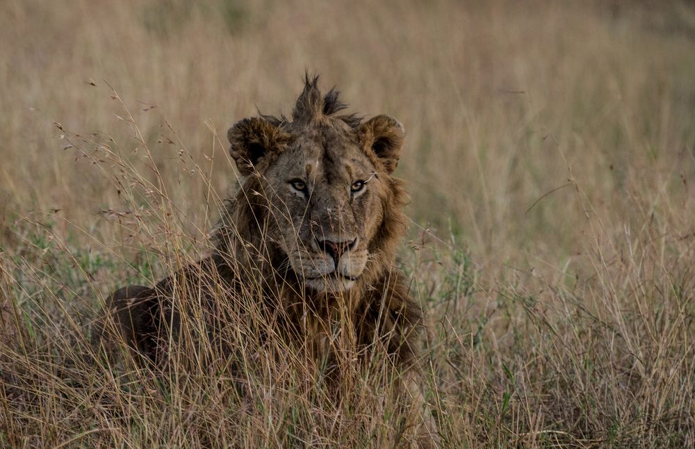 Photograph by Murad Rajabali Habib