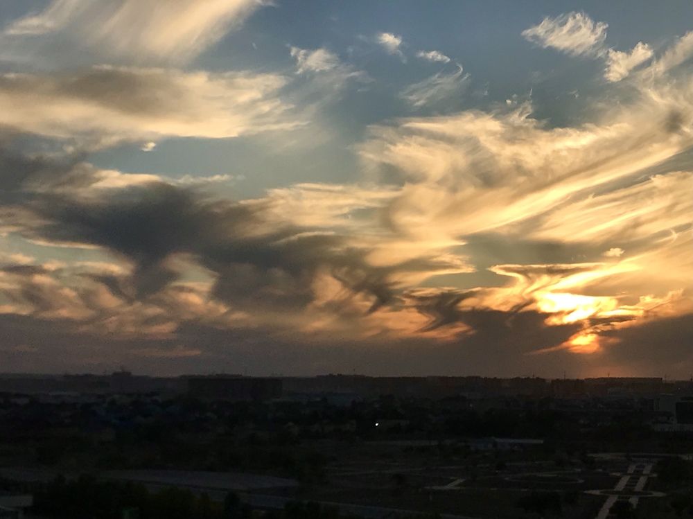 Photograph by Анар Амирова