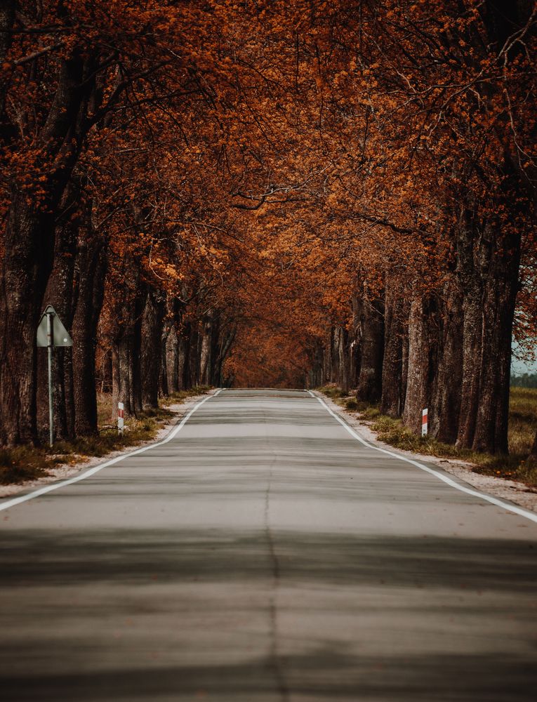 Photograph by Alexey S