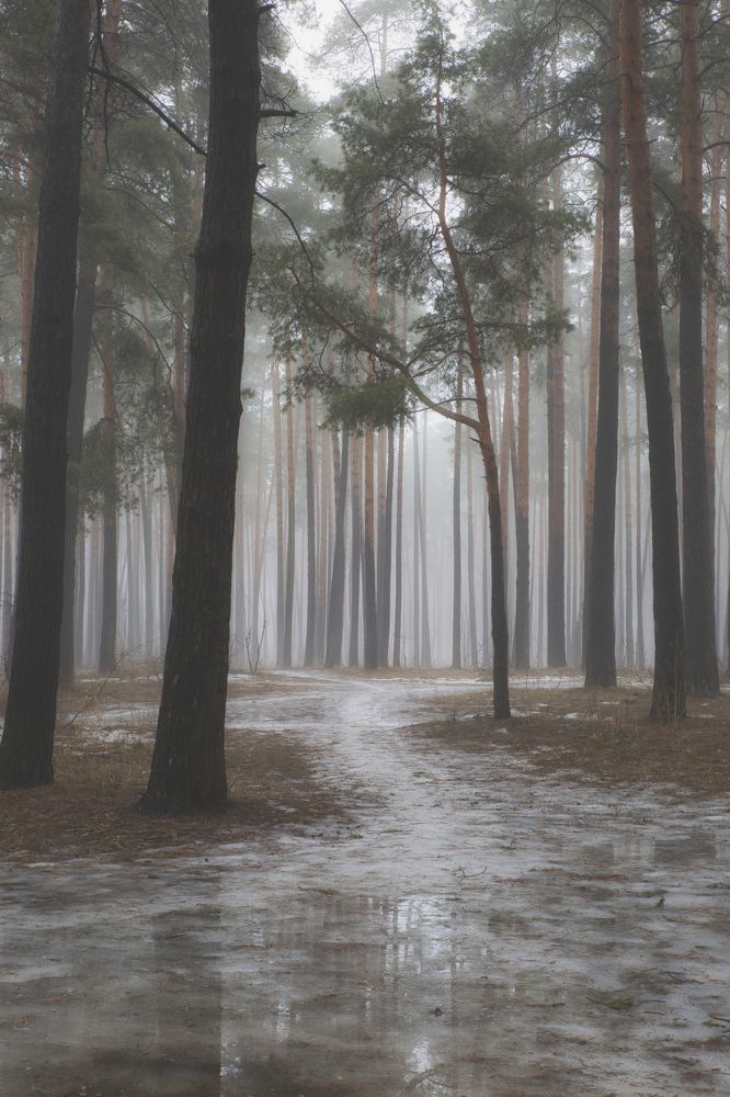 Photograph by laborant