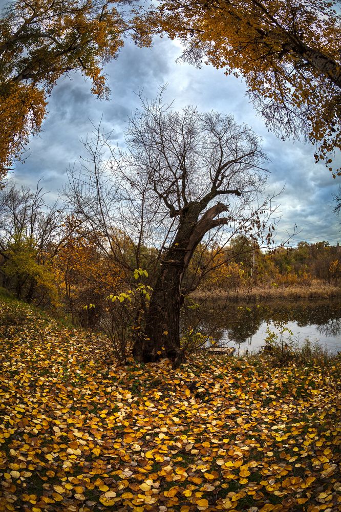 Photograph by Андрей Данилюк