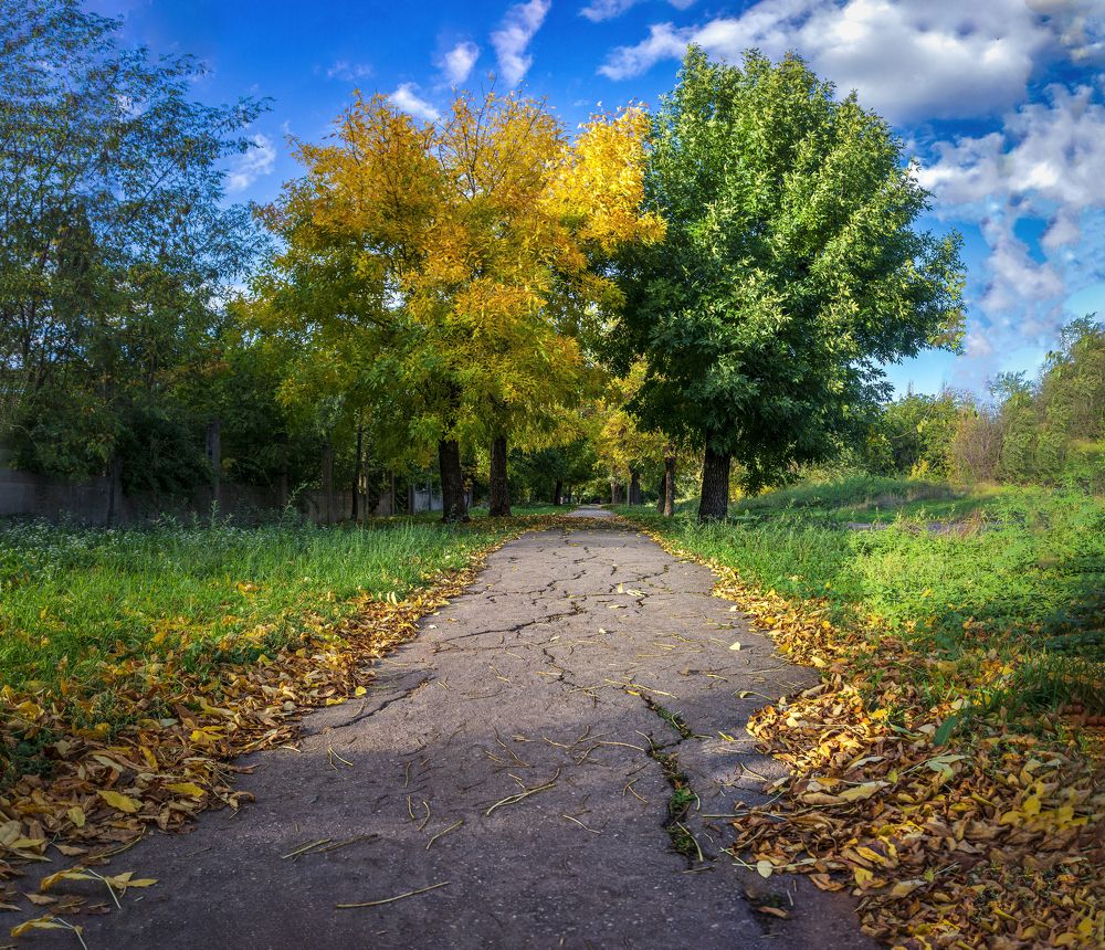 Photograph by Андрей Данилюк