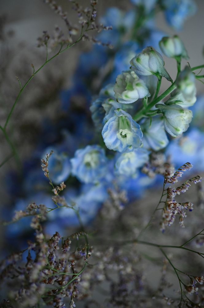 Photograph by Наталья Гришаева